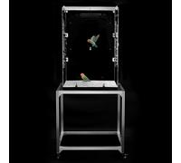 GuineaLoft™ Model-ET223 Acrylic Bird Cage - 2×2×3 ft Mid-Sized Tall Cage, Crystal Clear, Stainless Steel Mesh Top & Bottom, Dual Side Doors, Reusable Canvas Bottom - Visit the GuineaLoft Store