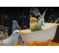 GuineaLoft™ Small Pet Bathtub - Generously-Sized Ceramic Bathtub for Birds' Water Baths or Hamsters' Sand Baths, Also Works as a Food Bowl - Visit the GuineaLoft Store for More