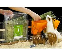 GuineaLoft™ Spaghetti Timothy Hay - Premium Hay, Innovatively Cleansed and Dried, Naturally Green and Straight, Small Pack, Zero Clutter, Maximum Flavor - Exclusive by Guinea Loft