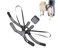 Guinzaglio di Assistenza Cani - Tessuto Elastico,Imbracatura regolabile a sgancio rapido per sollevamento zampe posteriori, supporto con trasportino | Per passeggiate all'aperto e visita veterinaria