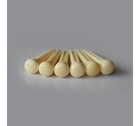Guitar Anatomy Bone Guitar Bridge Pins String Pegs