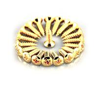 Guitar Anatomy Scratchplate Pickguard Screws Gold x12