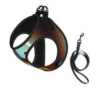 Guitar Bass Music Musical Instrument Print Pet Leash Vest,Breathable Mesh Pet Harness, Reflective For Small Medium Dogs Safe Easy Walking