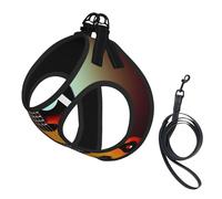 Guitar Bass Music Musical Instrument printing Puppy Harness, Dog Harness and Leash Set, Soft Mesh Reflective Breathable Lightweight Vest-Style