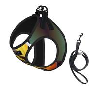 Guitar Bass Music Musical Instruments Print Pet Leash Vest,Breathable Mesh Pet Harness, Reflective For Small Medium Dogs Safe Easy Walking