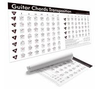 Guitar Chord Transposition Chart Poster, Functional Chords & Progressions Reference, Guitar Guide to Key Changes, Easy Song Transpose Learning Poster for Beginners 18x36 Inch