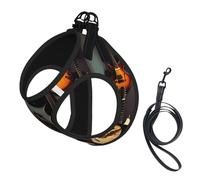 Guitar Collection Print Pet Leash Vest,Breathable Mesh Pet Harness, Reflective For Small Medium Dogs Safe Easy Walking