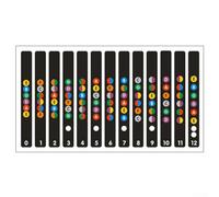 Guitar Fretboard Stickers Note Guide Learning Tool PVC Material Color Coded for Acoustic Electric Guitar Size Easy to Install Black Transparent 19.5x11cm 13 Numbered Frets