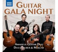 Guitar Gala Night