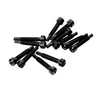 Guitar Neck Mounting Screws, Rustproof Bright Iron Pickup Screws 12 Pieces Corrosion Resistant for Bass (Black)