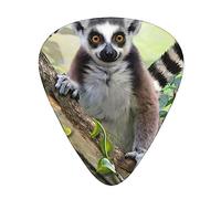 Guitar Picks 12 Pack, 3 Different Thickness Ringtailed Lemur Guitar Plectrums With Transparent Plastic Case For Electric Guitar Bass Ukulele Guitar, (Including 0.46mm, 0.71mm, 0.96mm)