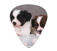Guitar Picks 12 Pack, 3 Different Thickness Small Breed Puppy Guitar Plectrums With Transparent Plastic Case For Electric Guitar Bass Ukulele Guitar, (Including 0.46mm, 0.71mm, 0.96mm)