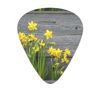 Guitar Picks-12 Pack Includes Thin,Medium & Heavy Gauges,Bouquet Of Daffodils For Bass,Electric & Acoustic Guitars