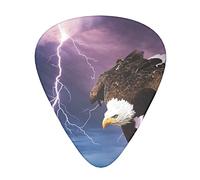 Guitar Picks 12 Pack Lightning Eagle Sky Cloud Guitar Music Lover Thin Medium Heavy Plectrums