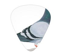 Guitar Picks 12 Pack Pigeon Printed Personalized Guitar Plectrums For Bass Acoustic Guitar Electric Guitar Includes Thin Medium Heavy Gauges