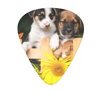 Guitar Picks 12 Pack Puppies Looking Over The Garden Fence Single Sided Printing Thin Medium Heavy Plectrums