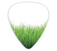 Guitar Picks 12 Pack Universal ABS Guitar Picks,Agriculture Gardening Themed House Lawn Illustration Spring Foliage Patternfor Acoustic and Electric Guitar