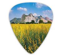 Guitar Picks 12 Pack Universal ABS Guitar Picks,Beautiful Spring View Of Yellow Sunhemp Flowers Field In A Meadow Photofor Acoustic and Electric Guitar