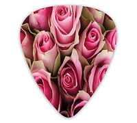 Guitar Picks 12 Pack Universal ABS Guitar Picks,Blooming Pink Roses Festive Bridal Bouquet Romance Sweetheart Love Valentinesfor Acoustic and Electric Guitar