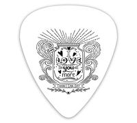 Guitar Picks 12 Pack Universal ABS Guitar Picks,Doodle Art Of Message Of Valentines In A Jar Surrounded By Floral Curlsfor Acoustic and Electric Guitar