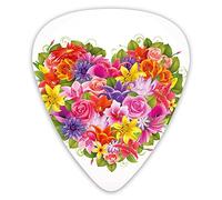 Guitar Picks 12 Pack Universal ABS Guitar Picks,Heart Frame With Shabby Chic Flowers Roses Leaves Romantic Love Theme Imagefor Acoustic and Electric Guitar
