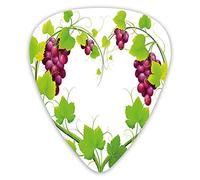 Guitar Picks 12 Pack Universal ABS Guitar Picks,Heart ShapedOf Grapevine Love Nature Themed Digital Art Botany Elements Printfor Acoustic and Electric Guitar