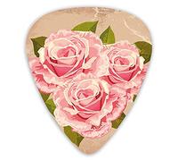 Guitar Picks 12 Pack Universal ABS Guitar Picks,Pink Bouquet Of Valentines Roses Retro Love Romance Theme Grunge Displayfor Acoustic and Electric Guitar