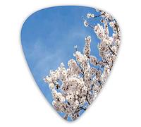 Guitar Picks 12 Pack Universal ABS Guitar Picks,Spring Pattern With Pastoral Elements Open Sky Botany Gardenfor Acoustic and Electric Guitar