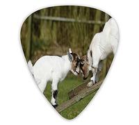 Guitar Picks 12 Pack Universal ABS Guitar Picks,Two Cute Little Baby Goats On A Bench With Their Horns Picture Image Designfor Acoustic and Electric Guitar
