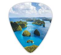 Guitar Picks 12 Pack Universal ABS Guitar Picks,View Of Palau Islands From Above Traditional Touristic Greenery Scenic Sea Picturefor Acoustic and Electric Guitar