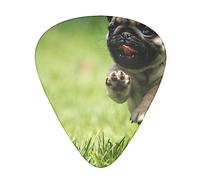 Guitar Picks 12 Pcs pug puppies Print Guitar Plectrums for Bass Electric Acoustic Guitars Ukulele