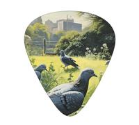 Guitar picks 12 pieces WZYWHJ Pigeons on the grass Printing comfortable feel clear tone moderate thickness suitable for guitar and electric guitar