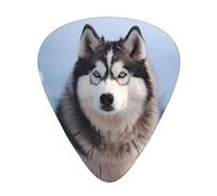 Guitar picks 12 pieces WZYWHJ Siberian Husky Prints comfortable feel clear tone moderate thickness suitable for guitar and electric guitar