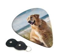 Guitar Picks 6 Pack 0.71mm for Men Women Beginners | Golden Retriever On The Beach Printed Guitar Picks For Acoustic Electric Bass Ukulele Gift