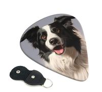 Guitar Picks 6 Pack Border Collie Print Personalized Guitar Picks with Organizer Storage Box Guitar Plectrum Guitar Accessories for Bass Electric Ukulele Guitar Players