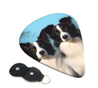 Guitar Picks 6 Pack Border Collie Print Personalized Guitar Picks with Organizer Storage Box Guitar Plectrum Guitar Accessories for Bass Electric Ukulele Guitar Players