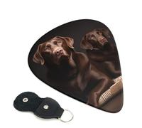 Guitar Picks 6 Pack Brown Labrador Retriever Print Personalized Guitar Picks with Organizer Storage Box Guitar Plectrum Guitar Accessories for Bass Electric Ukulele Guitar Players