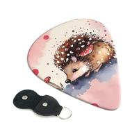 Guitar Picks 6 Pack Cute hedgehog watercolor Print Personalized Guitar Picks with Organizer Storage Box Guitar Plectrum Guitar Accessories for Bass Electric Ukulele Guitar Players