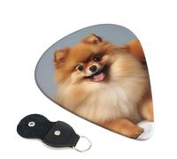 Guitar Picks 6 Pack Cute pomeranian Print Personalized Guitar Picks with Organizer Storage Box Guitar Plectrum Guitar Accessories for Bass Electric Ukulele Guitar Players