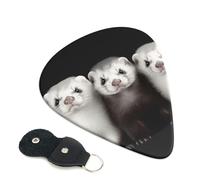 Guitar Picks 6 Pack Ferrets Print Personalized Guitar Picks with Organizer Storage Box Guitar Plectrum Guitar Accessories for Bass Electric Ukulele Guitar Players