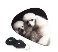 Guitar Picks 6 Pack French poodle Print Personalized Guitar Picks with Organizer Storage Box Guitar Plectrum Guitar Accessories for Bass Electric Ukulele Guitar Players