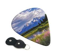 Guitar Picks 6 Pack grand teton national park Print Personalized Guitar Picks with Organizer Storage Box Guitar Plectrum Guitar Accessories for Bass Electric Ukulele Guitar Players