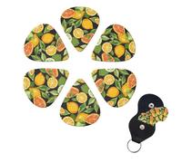 Guitar Picks 6 Pack Personalized Guitar Picks citrus fruit pattern Print Guitar Pick Holder for Acoustic Guitars Violin Ukulele Bass
