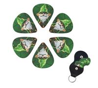 Guitar Picks 6 Pack Personalized Guitar Picks Green Gnome Print Guitar Pick Holder for Acoustic Guitars Violin Ukulele Bass