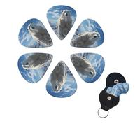 Guitar Picks 6 Pack Personalized Guitar Picks Polar Bear Print Guitar Pick Holder for Acoustic Guitars Violin Ukulele Bass