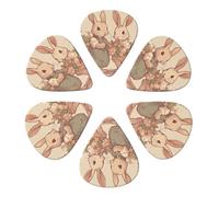Guitar Picks 6 Pack Personalized Guitar Picks Rabbit in Skirt Guitar Pick Holder for Acoustic Guitars Violin Ukulele Bass