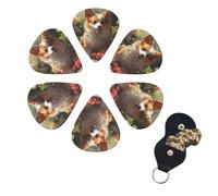 Guitar Picks 6 Pack Personalized Guitar Picks Strawberry and Cute Corgi Print Guitar Pick Holder for Acoustic Guitars Violin Ukulele Bass