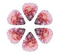 Guitar Picks 6 Pack Pink Petal Print Guitar Pick Holder Personalized Guitar Picks for Acoustic Guitars Violin Ukulele Bass
