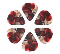 Guitar Picks 6 Pack Red and White Petal Print Guitar Pick Holder Personalized Guitar Picks for Acoustic Guitars Violin Ukulele Bass
