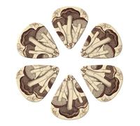 Guitar Picks 6 Pack Vintage Mushrooms Drawing Print Guitar Pick Holder Personalized Guitar Picks for Acoustic Guitars Violin Ukulele Bass